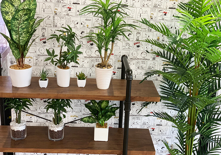 インテリア 植物